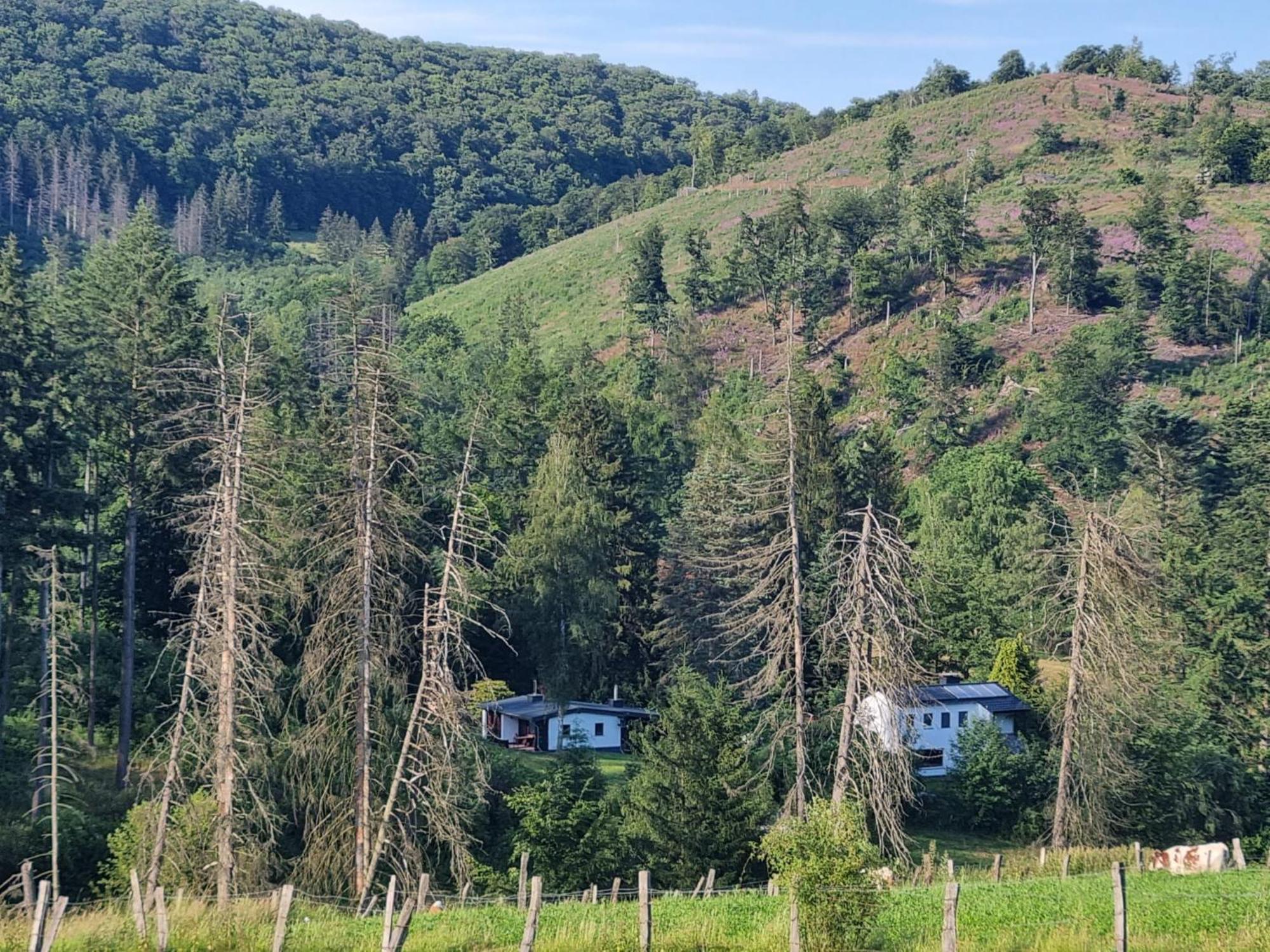 Explorer'S Lodge & Camping Helminghausen Esterno foto