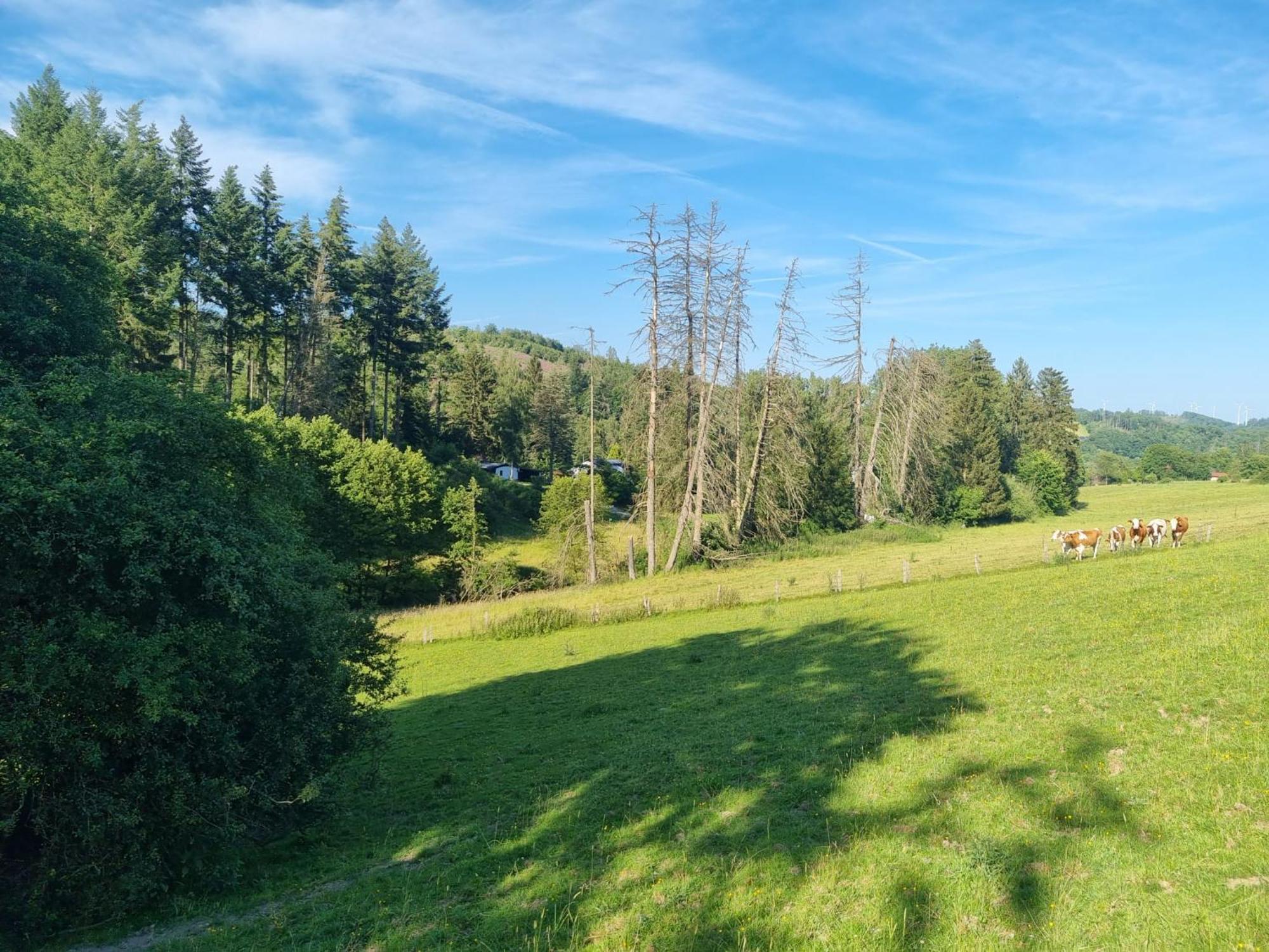 Explorer'S Lodge & Camping Helminghausen Esterno foto